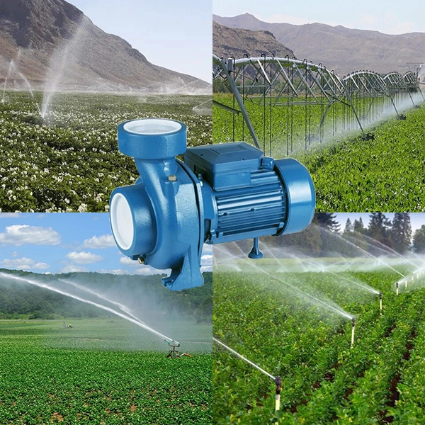 معرفی انواع پمپ آب کشاورزی