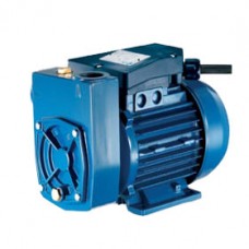 پمپ خودمکش محیطی پنتاکس ایتالیا مدل MD100